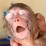 Profile picture of SpaceMain