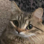 LOOKING 4 LOVE