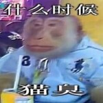 Profile picture of Duck